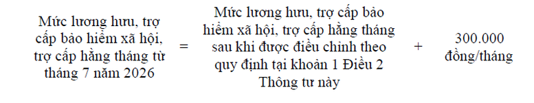 Hướng dẫn tăng lương hưu, trợ cấp BHXH, trợ cấp hàng tháng thêm 8% từ 01/7/2026- Ảnh 3.